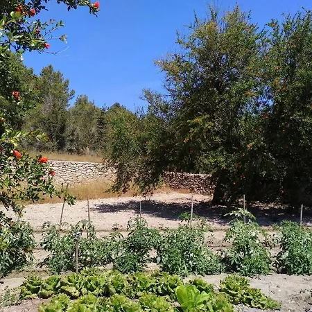 וילה Can Ferrer Authentic Payesa House Sant Antoni de Portmany